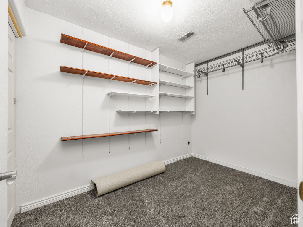 Spacious closet featuring carpet floors and visible vents
