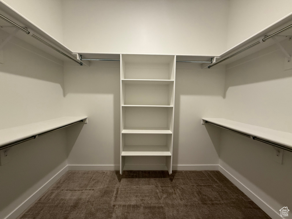 Spacious closet featuring dark colored carpet