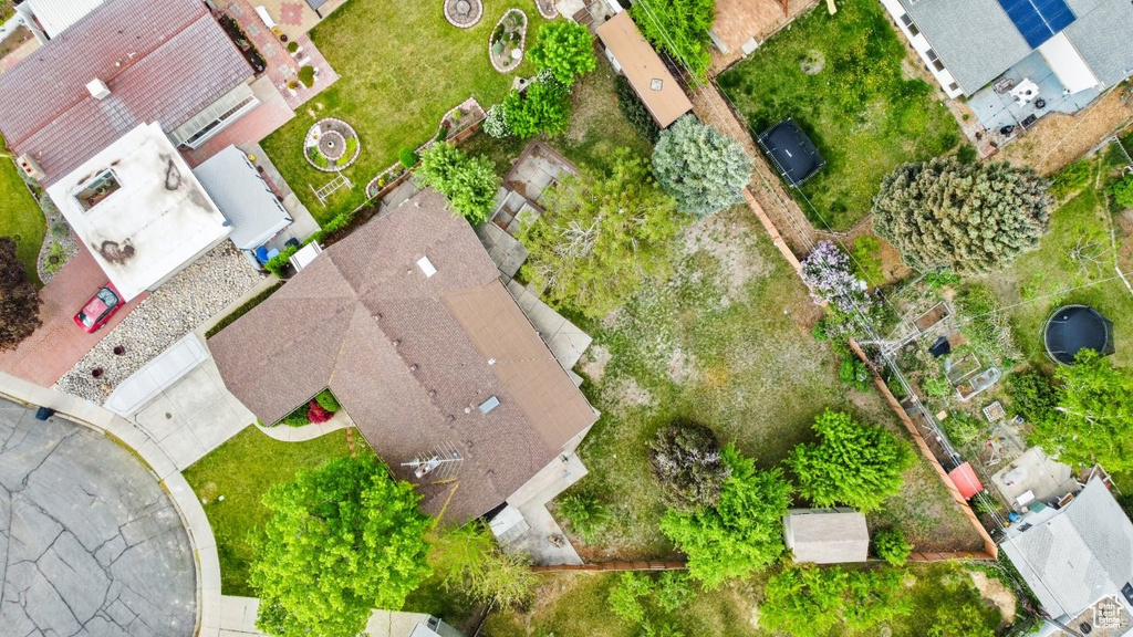 Bird\'s eye view