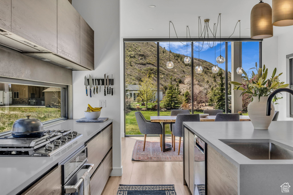 Kitchen with appliances with stainless steel finishes, a sink, expansive windows, modern cabinets, and healthy amount of natural light