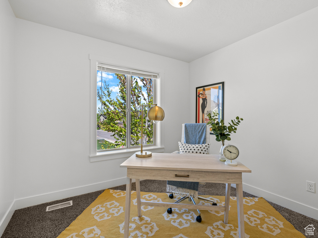 Office area featuring carpet, baseboards, and visible vents