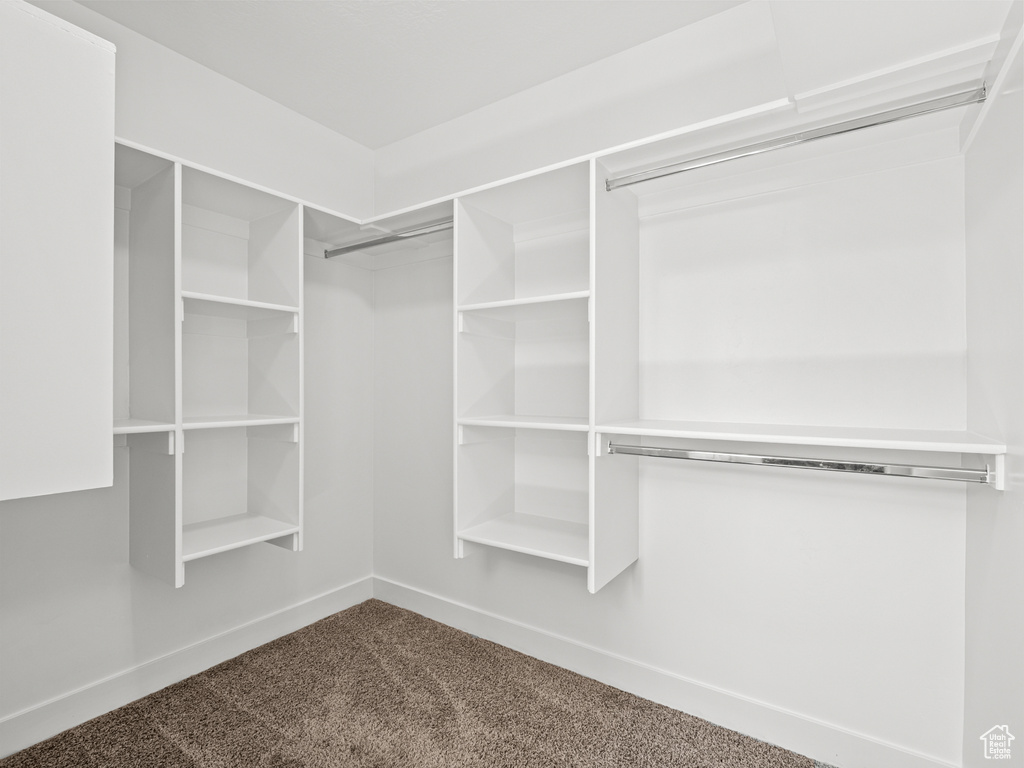 Walk in closet with dark carpet