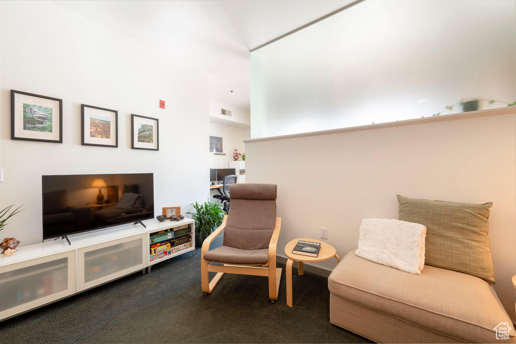 Living area featuring dark colored carpet and visible vents