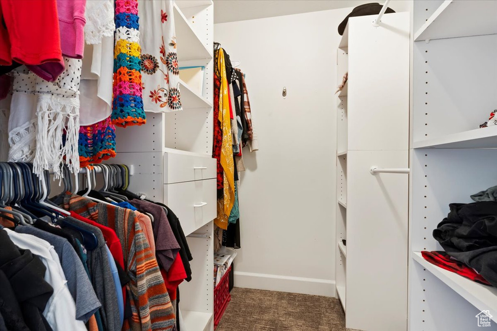 Walk in closet featuring carpet floors