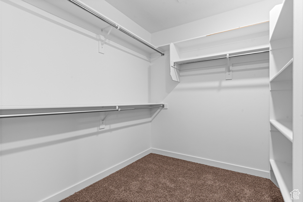 Walk in closet with dark colored carpet