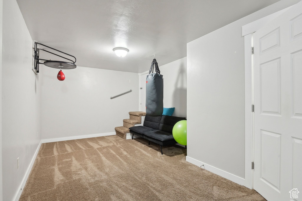 Living area with baseboards and carpet flooring
