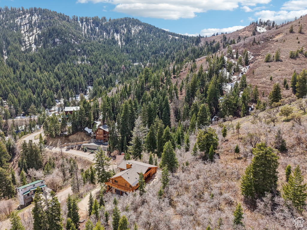 Property view of mountains featuring a view of trees