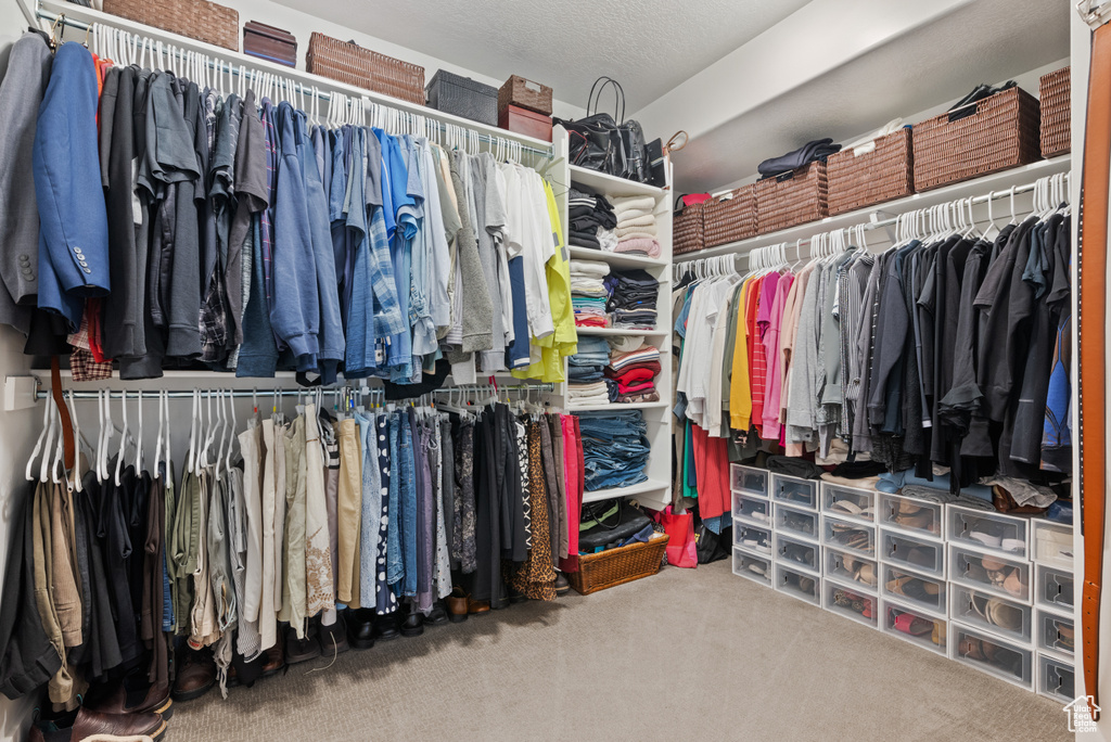 Spacious closet featuring carpet flooring