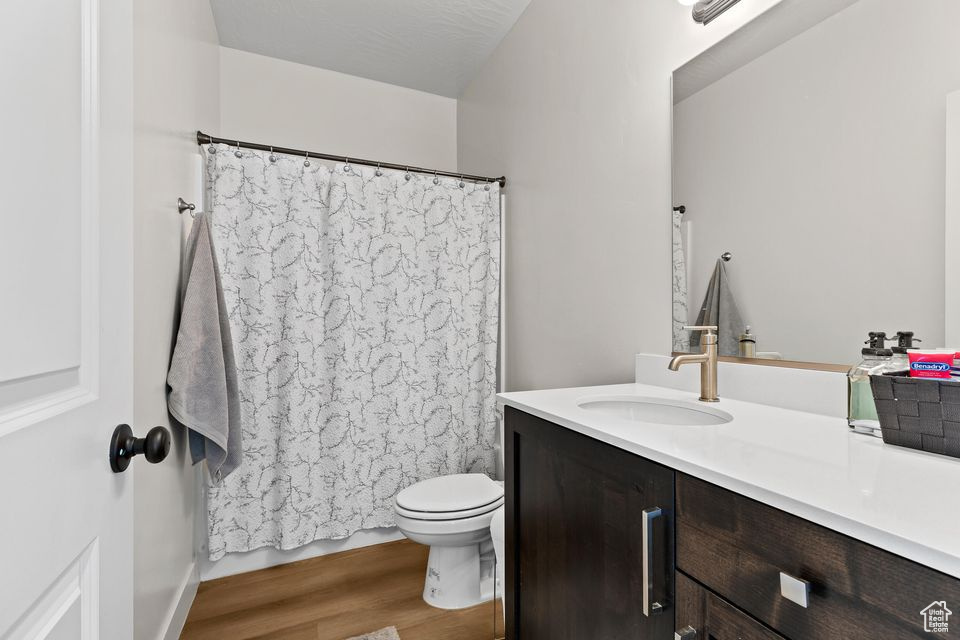 Full bath featuring wood finished floors, toilet, vanity, and a shower with shower curtain