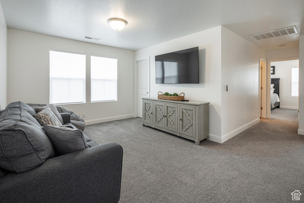 Carpeted living area featuring visible vents, baseboards, and a healthy amount of sunlight