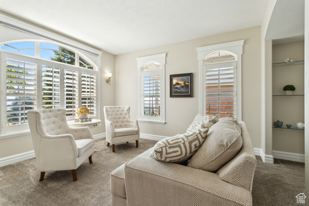 Living area with carpet floors, baseboards, and built in shelves