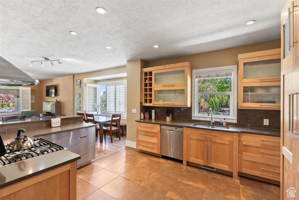 Kitchen with dark countertops, a textured ceiling, tasteful backsplash, a sink, and stainless steel appliances