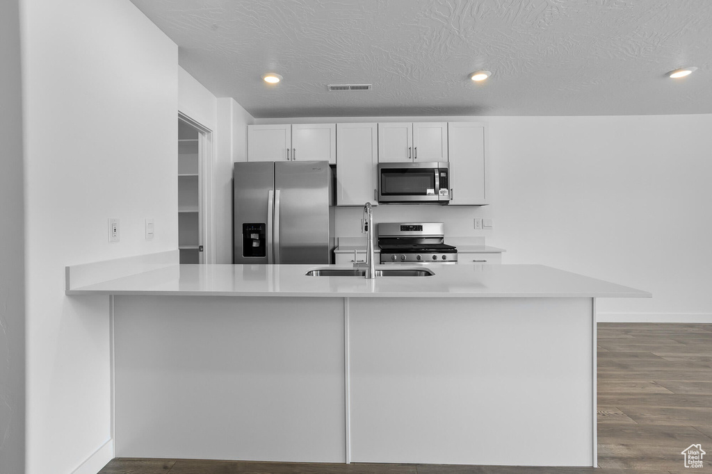 Kitchen with light countertops, stainless steel appliances, a sink, and dark wood-type flooring