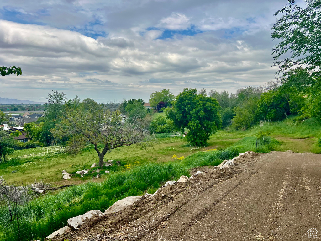 View of local wilderness