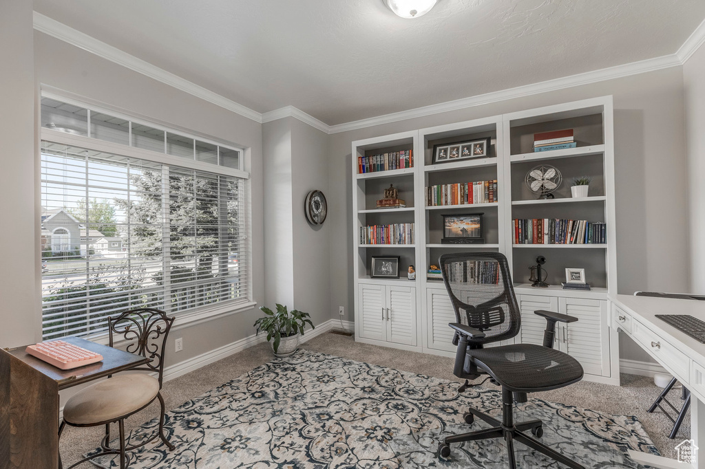 Office area featuring baseboards, ornamental molding, and carpet floors
