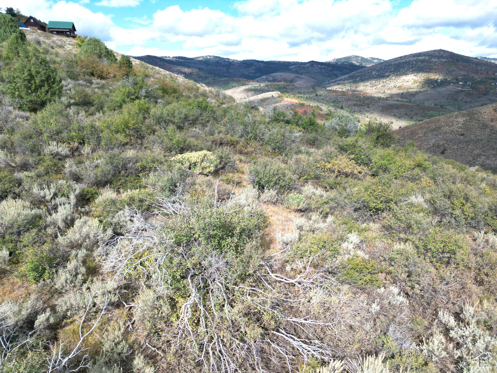 Property view of mountains