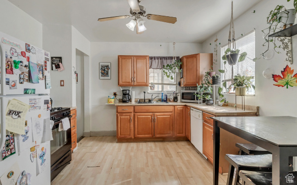 Kitchen featuring a sink, white appliances, light wood-type flooring, and plenty of natural light