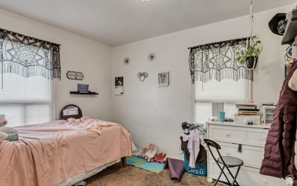 Carpeted bedroom featuring multiple windows