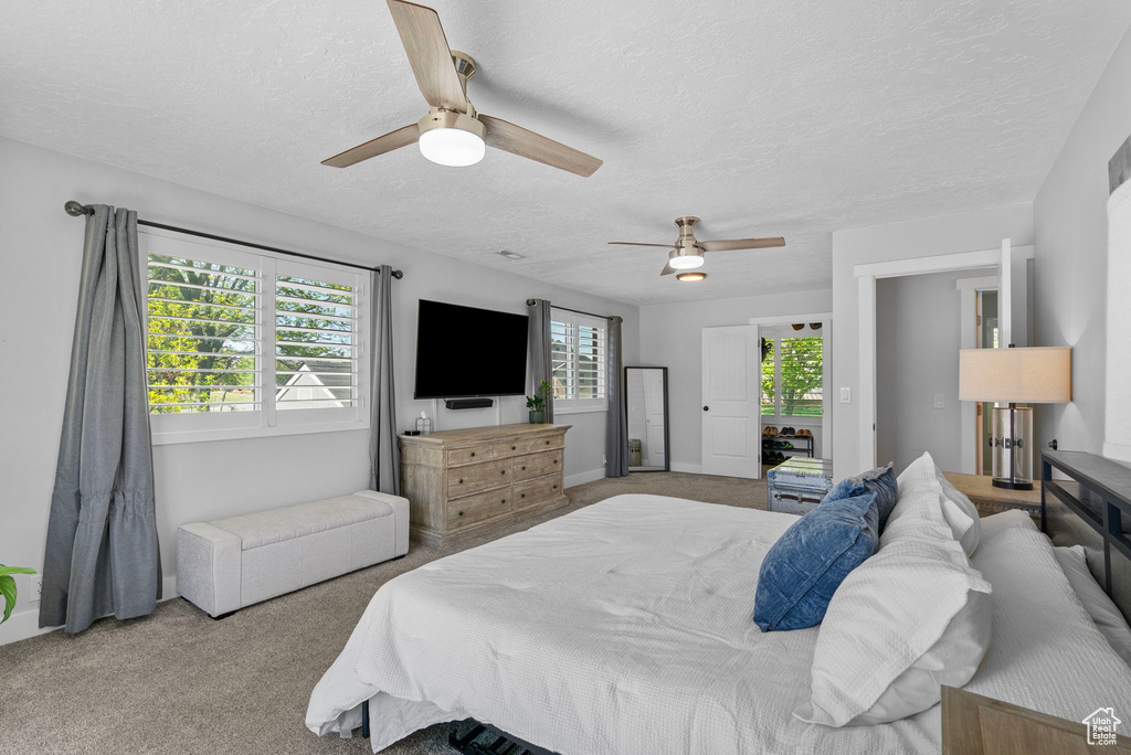 Bedroom featuring a ceiling fan, carpet floors, baseboards, and a textured ceiling