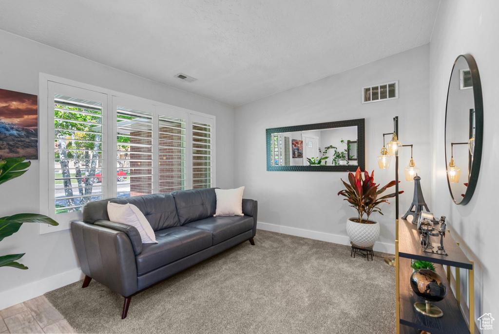 Carpeted living area featuring visible vents and baseboards