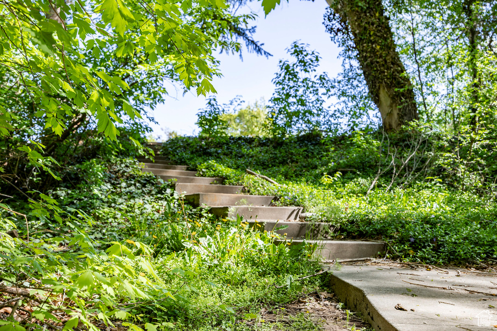 View of yard featuring stairs