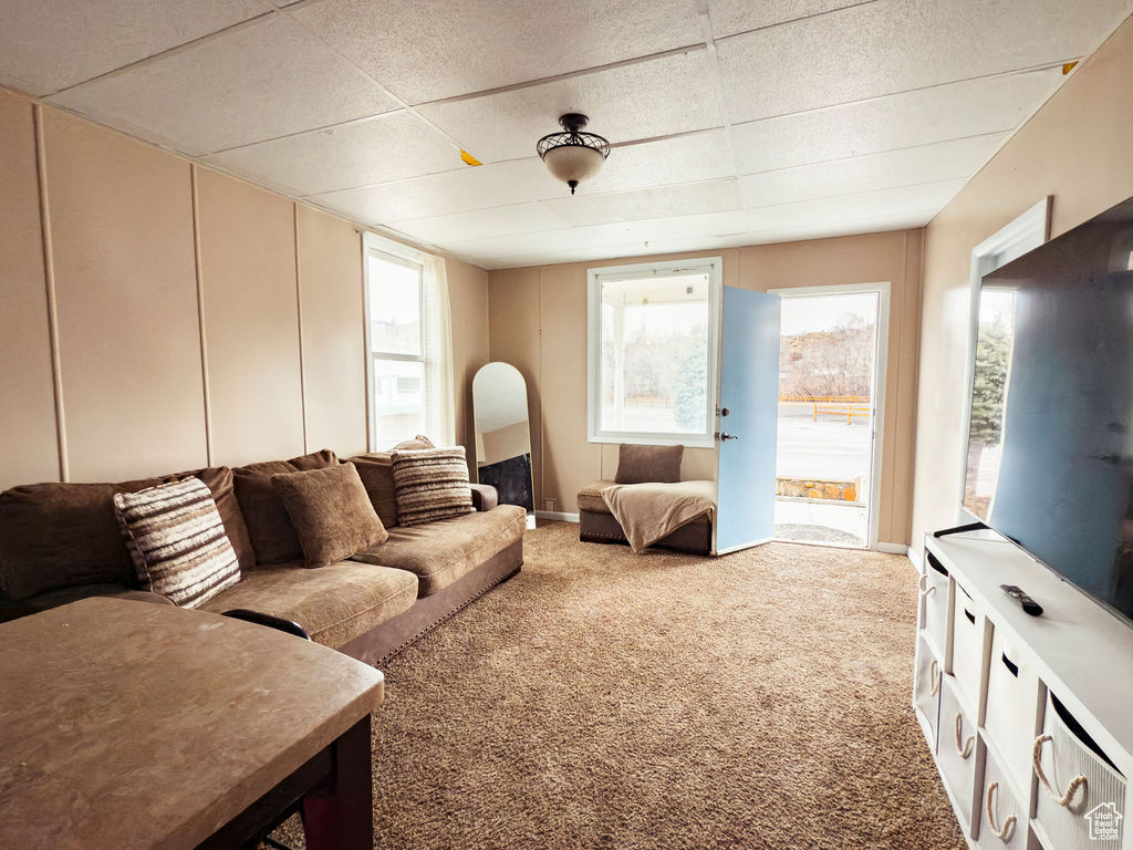 Living room featuring light colored carpet, a wealth of natural light, and a drop ceiling