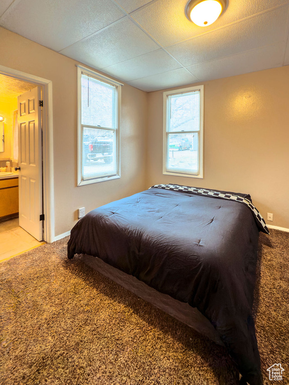 Bedroom with multiple windows, light carpet, and baseboards