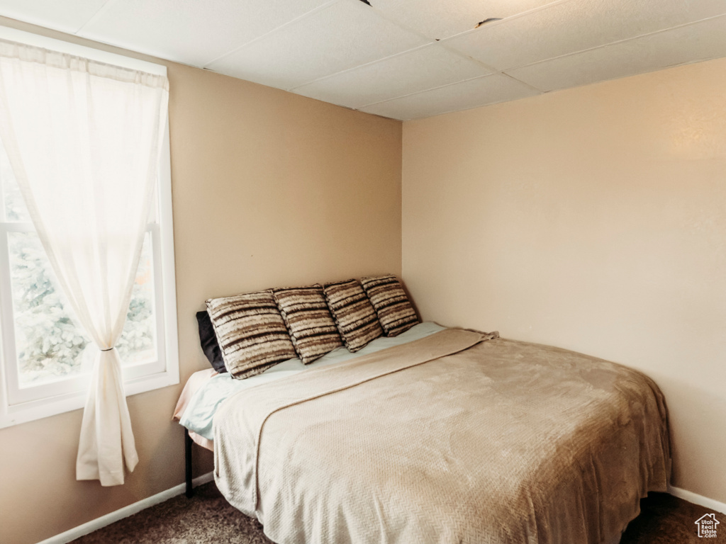 Bedroom featuring carpet flooring, a drop ceiling, and baseboards