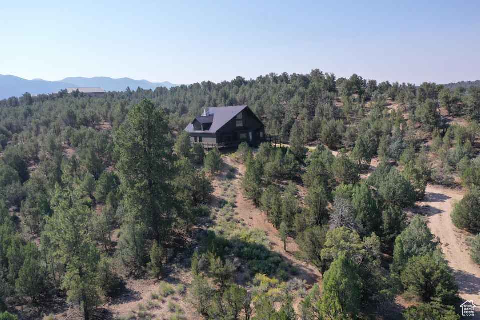 Drone / aerial view featuring a view of trees