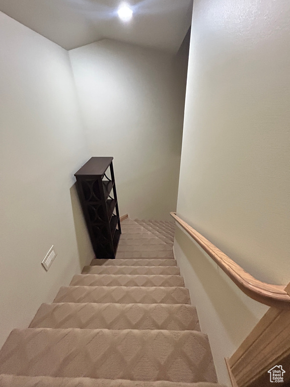 Staircase featuring carpet floors