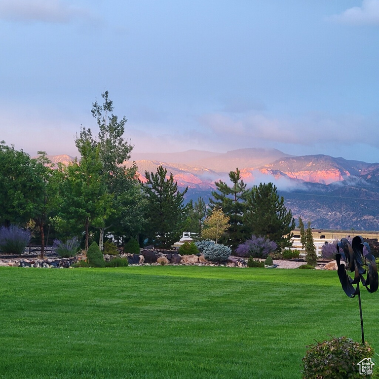 View of community featuring a yard and a mountain view