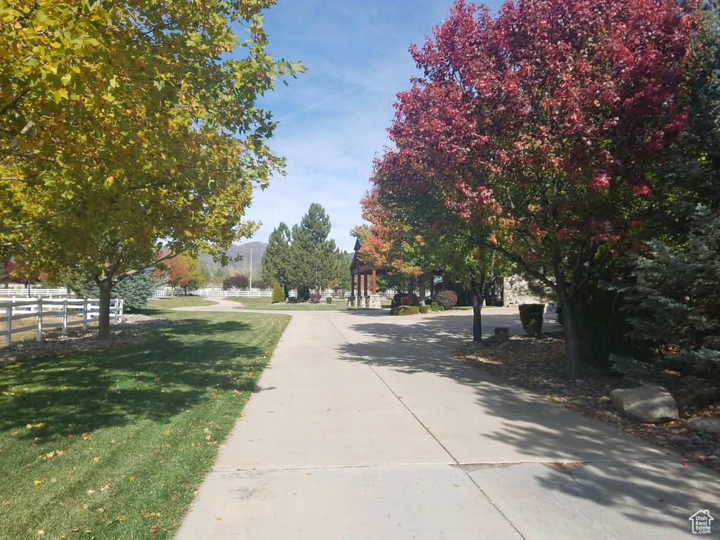 View of road