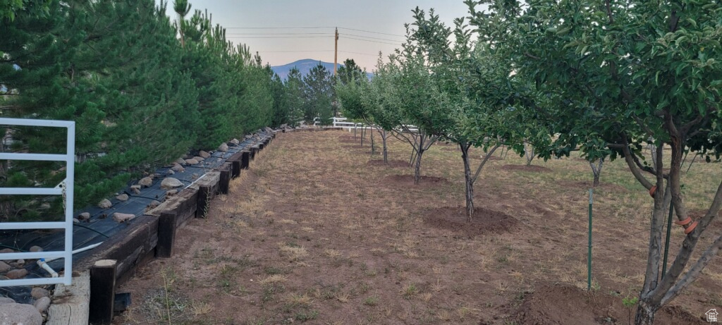 View of yard featuring a mountain view
