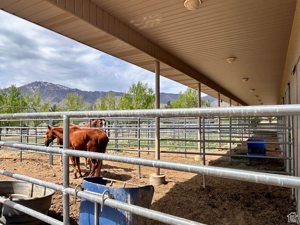 View of stable featuring a mountain view and a rural view
