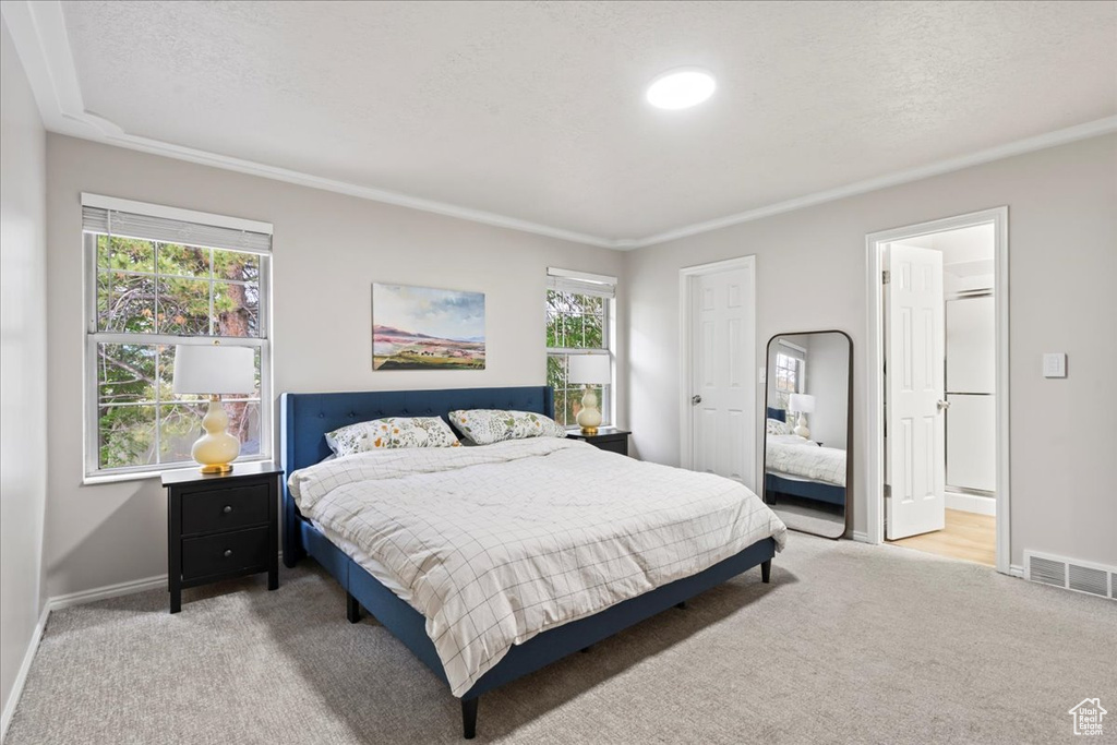 Bedroom featuring baseboards, multiple windows, light carpet, and visible vents