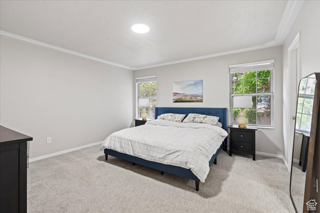 Bedroom with light colored carpet, crown molding, and baseboards