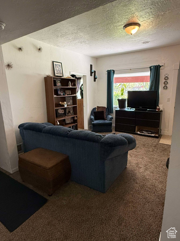 Carpeted living area with a textured ceiling