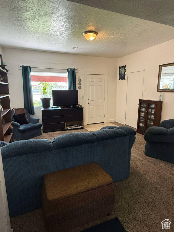 Carpeted living area featuring a textured ceiling