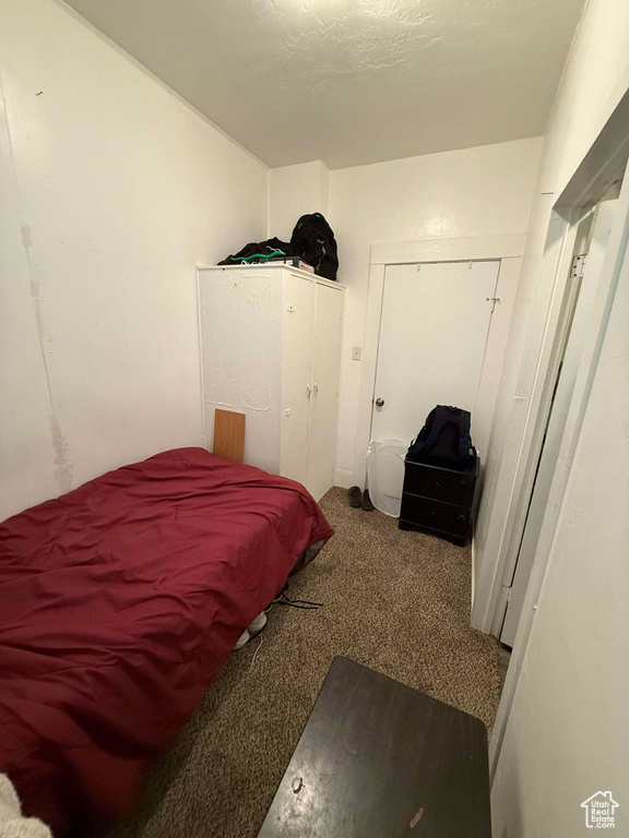 Bedroom with carpet floors and a closet