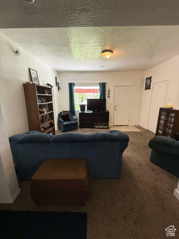 Living room featuring a textured ceiling and carpet flooring