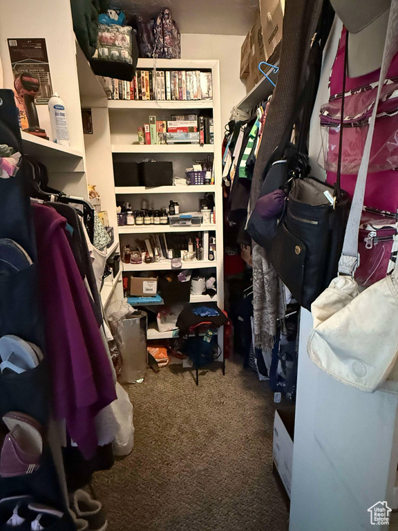 Walk in closet with carpet