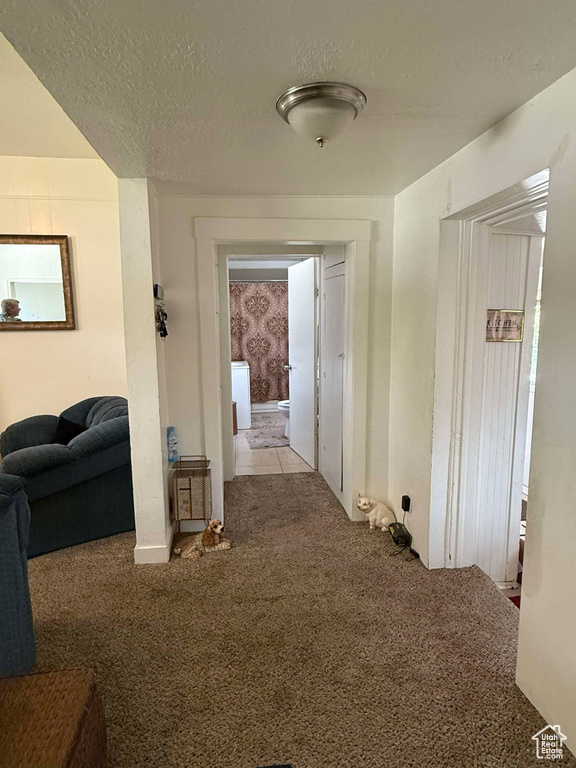 Corridor with a textured ceiling and carpet flooring