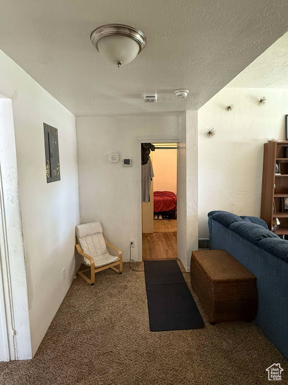 Hallway with a textured ceiling, electric panel, and carpet flooring