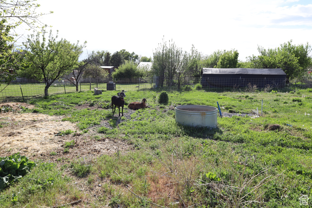 View of yard with fence and a rural view