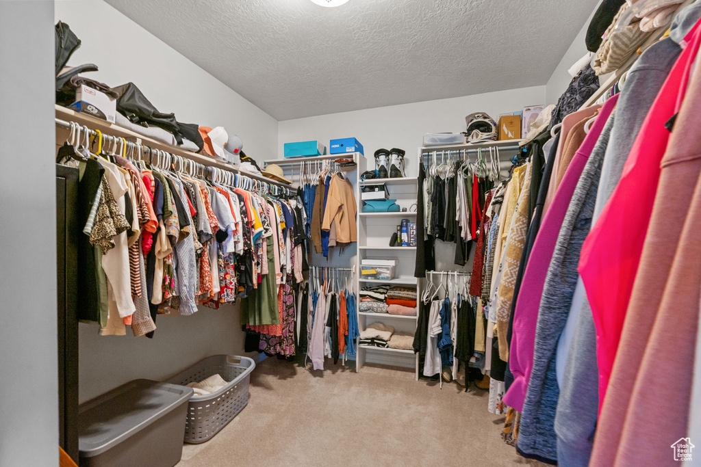 Walk in closet with carpet