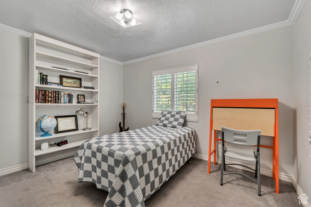Bedroom with baseboards, ornamental molding, and carpet floors