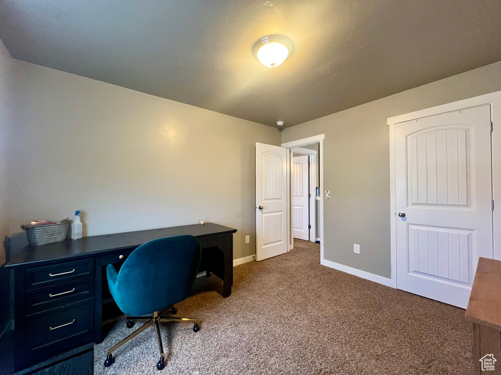 Office space with baseboards and carpet floors
