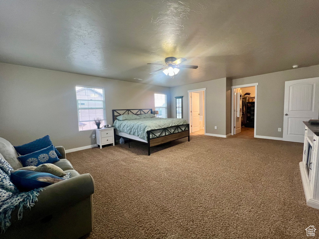 Carpeted bedroom with baseboards, ceiling fan, and a walk in closet