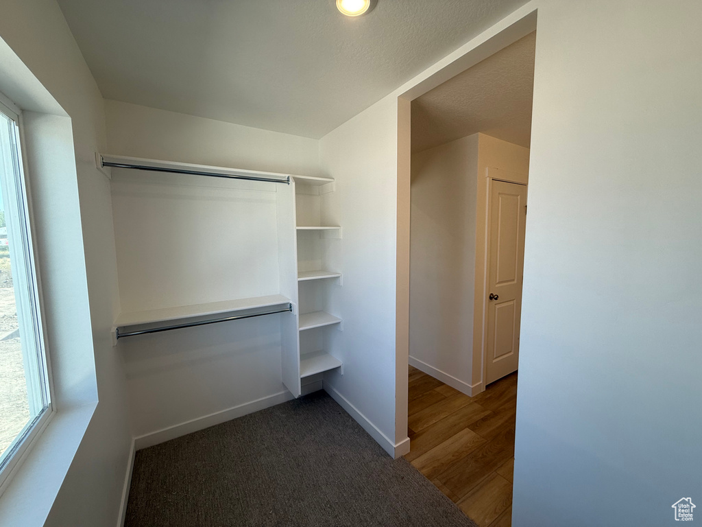 Walk in closet featuring carpet flooring and wood finished floors
