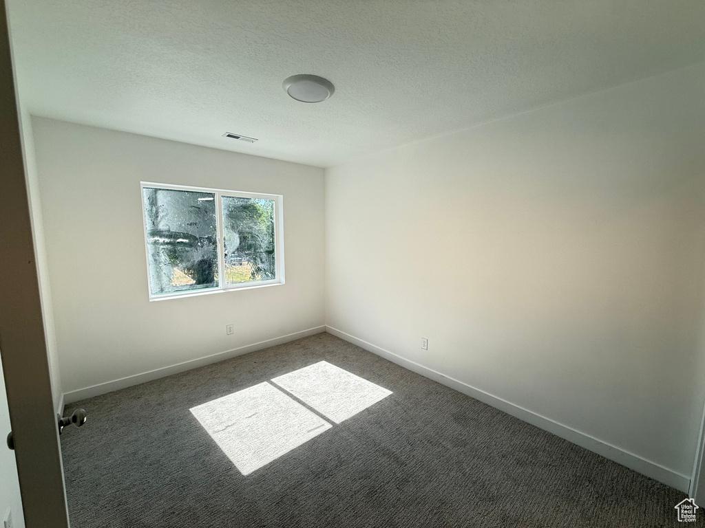 Empty room featuring carpet floors and a textured ceiling